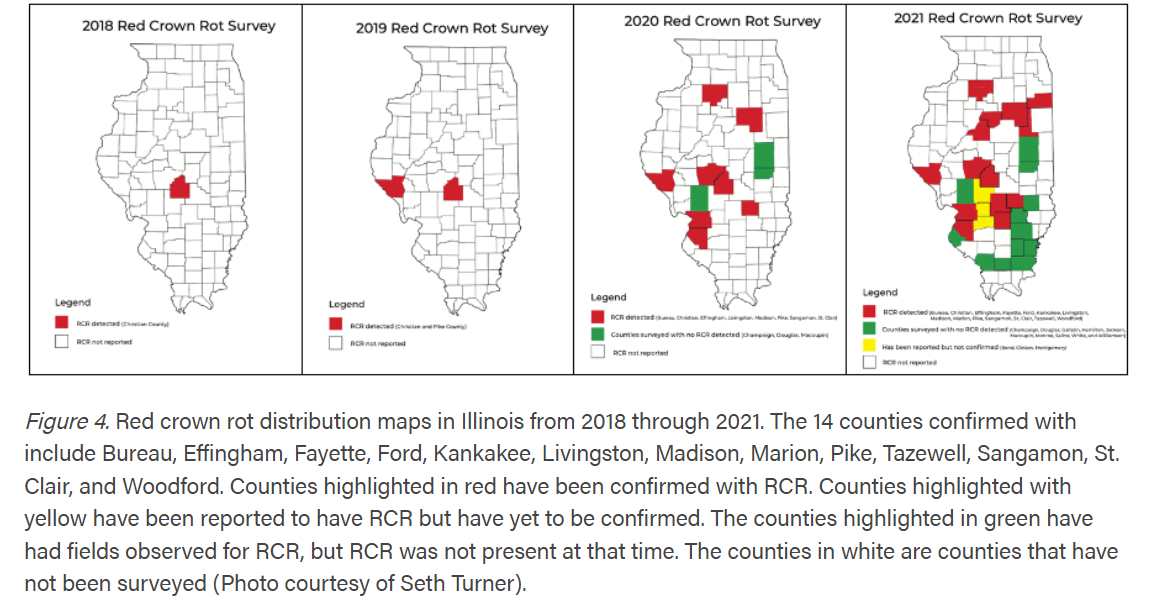 Red Crown Rot Reaches Illinois Soybean Fields Suspected In Other